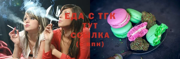тгк Дмитров