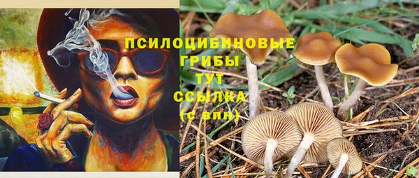 соль курить ск Дмитровск