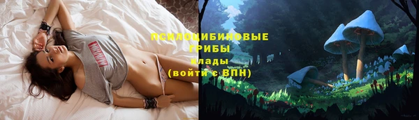 тгк Дмитров