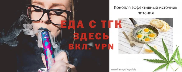 тгк Дмитров