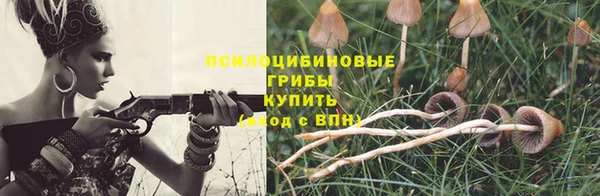 бутират Гусев