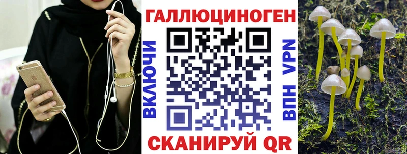 Купить закладки  Сухой Лог  Галлюциногенные грибы GOLDEN TEACHER 